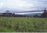 Ultra-pro Canopy Netting per roll