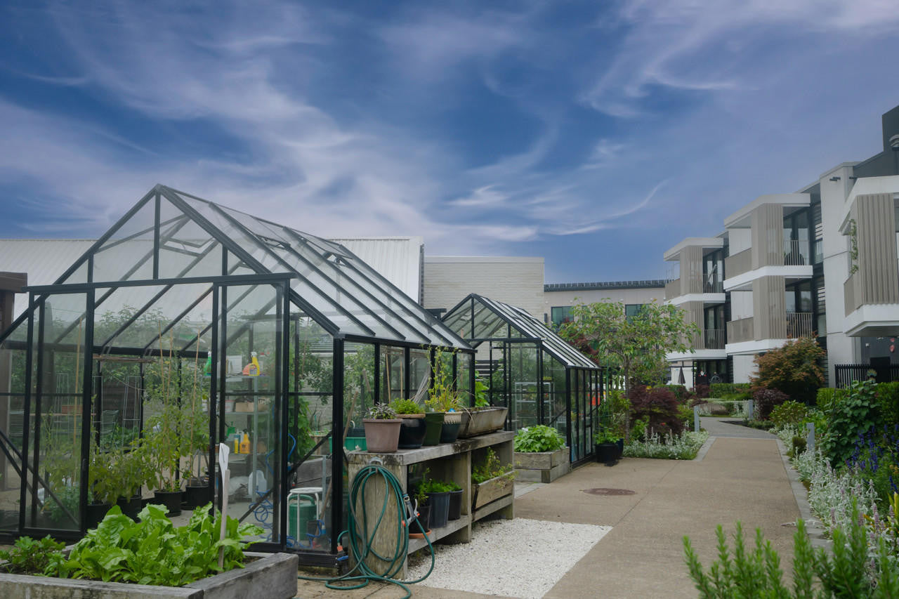 Winter Gardenz 10x10ft (3.2x3.2m) Glasshouse 4mm Toughened Glass